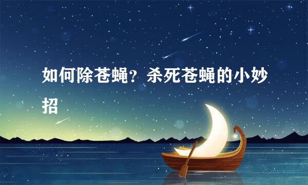 如何除苍蝇？杀死苍蝇的小妙招