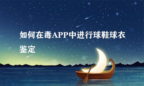 如何在毒APP中进行球鞋球衣鉴定