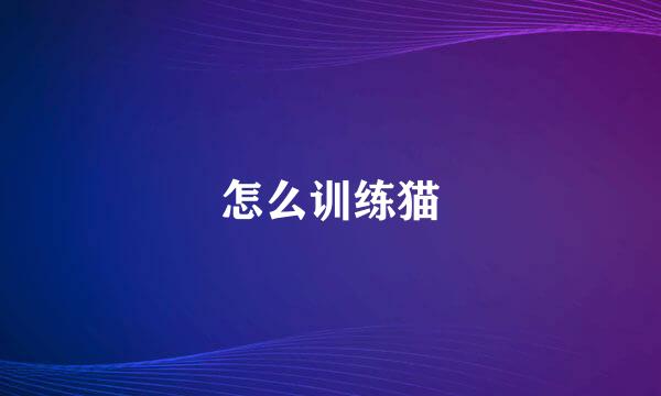 怎么训练猫