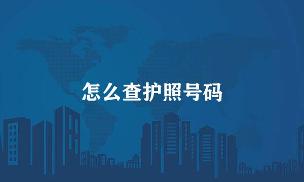 怎么查护照号码